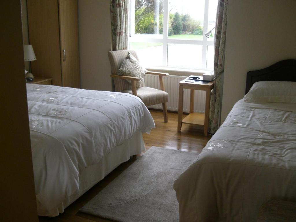 Ashley Lodge Bed&Breakfast Rosslare Harbour Exterior foto