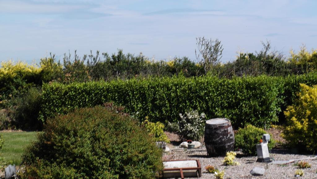 Ashley Lodge Bed&Breakfast Rosslare Harbour Exterior foto