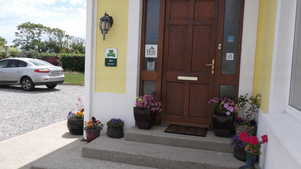 Ashley Lodge Bed&Breakfast Rosslare Harbour Exterior foto