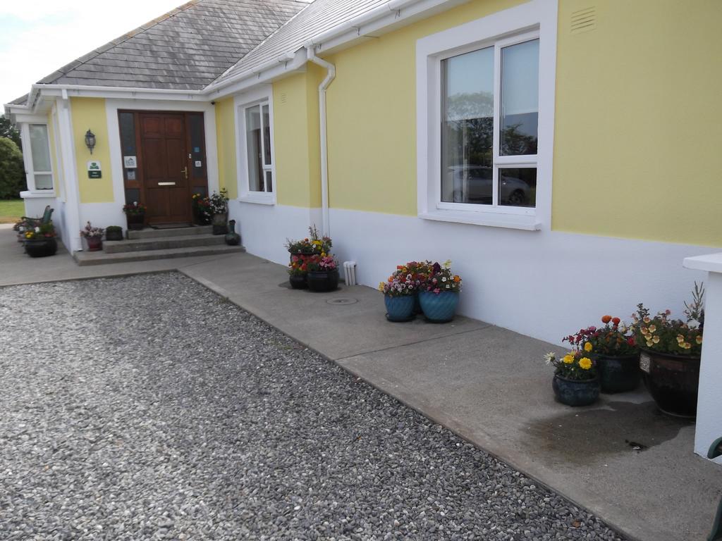 Ashley Lodge Bed&Breakfast Rosslare Harbour Exterior foto